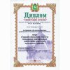 Диплом конкурса "Сибирские Афины". Третий Сибирский Форум образования в номинации «За высокий уровень художественно- эстетического воспитания»